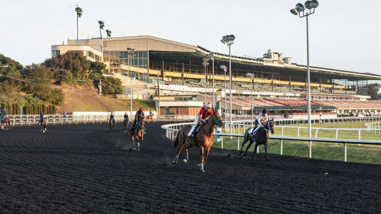 Horses race race at Golden Gate Fields in June 2024, weeks before the closure (AP photo)