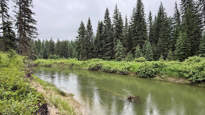 In 2003, Sean and Melodye Rooney bought Montana land; 23 years later, their 57 acres were protected (Image Credit: Flathead Land Trust) In 2003, Sean and Melodye Rooney bought Montana land beside the Stillwater River; 23 years later, their 57-acre property with nearly a mile of river frontage became permanently protected from development