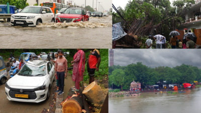 Toll soars to 81 as UP is lashed by 775% excess rainfall in 48 hours