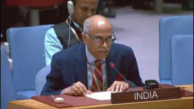 '9/11 architects were not hiding in caves': India hits out at Pakistan at UN over terror safe havens