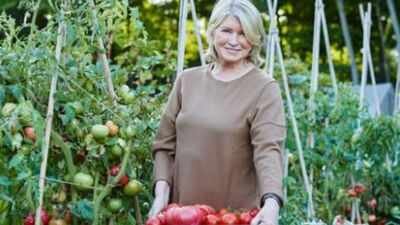 Photo credit: @johnkernickphotography / Instagram In 2000, Martha Stewart bought a 152-acre New York farmhouse; 26 years later, the horse farm has 100+ chickens and 11 pheasants after she added 13 chickens and a silver pheasant