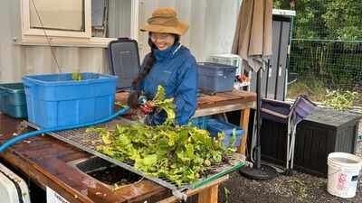 Meet Apollin Lu, the 17-year-old British Columbia student who mobilised 140+ volunteers to rescue nearly 9,000 pounds of farm produce