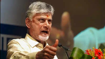 Andhra Pradesh CM N Chandrababu Naidu backed the Election Commission’s statement on SIR, saying it reaffirmed the integrity and credibility of constitutional institutions BJP allies close ranks, flay opposition for 'undermining democracy'