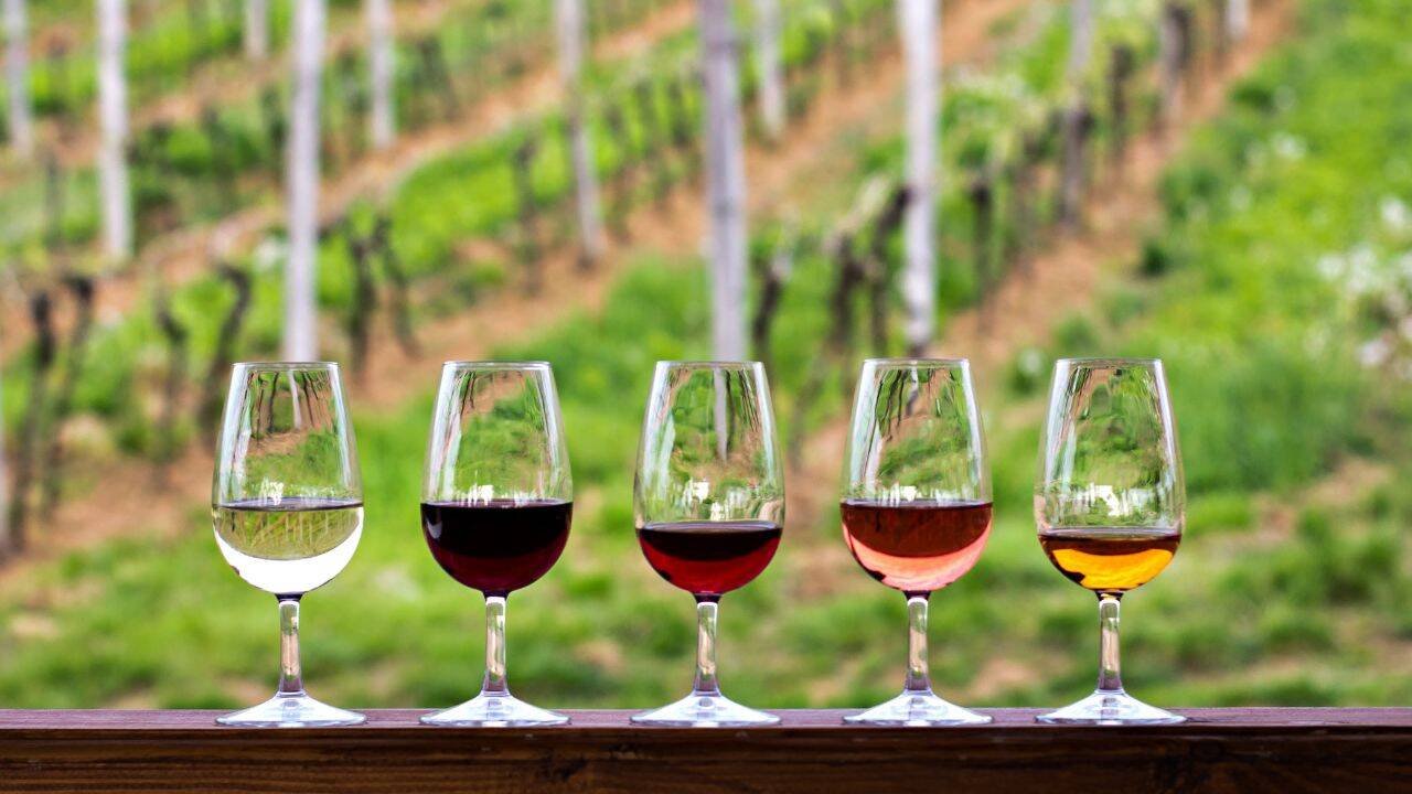 Napa Valley Wine Train, usa