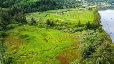 North of Wheeler, the McCoy Marsh project will re-link nine acres of wetland to the Nehalem River and nearby Botts Marsh, restoring habitat conservationists say is vital to young salmon and more than 125 species of birds. Nearly a century after dikes cut an Oregon marsh off from the tides, crews are digging 1,465 feet of channels to reconnect 9 acres with a 35-acre wetland used by 125+ bird species and salmon