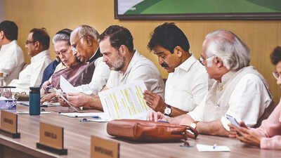 Referring to a meeting involving him, PM Modi and Shah, Rahul said the PM told him that after they lose, the Congress government will come in. Not just CEC, PM Modi and Shah should also resign for 'vote chori', says CWC