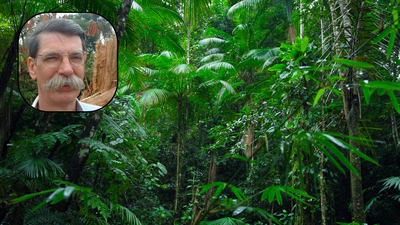 Philip Fearnside’s research has calculated the costs of losing the Amazon on account of deforestation, dams and highways He began studying the Amazon in the 1970s; 50 years later, Philip Fearnside’s research has calculated the costs of losing the Amazon on account of deforestation, dams and highways