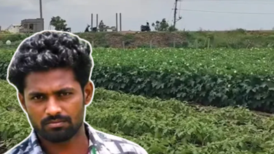 Photo credit: 30 stades.com In 2017, this man got a bank job; 8 years later, he returned to his family in Andhra Pradesh after his father's death and started farming again; he now earns Rs 5,000 daily from vegetables