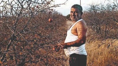 Pomegranate farmer Pandurang Mali shows his drying plantation in Tulshi village Water-starved for 25 years, Tulshi shows its anger through 'Village for Sale' poster