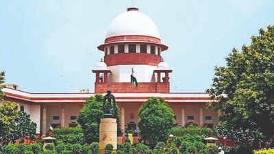 SC hearing on Vande Mataram turns heated over 'Naxalites' remark 'Naxalites can't make law': Heated exchange between lawyers during Vande Mataram SC hearing