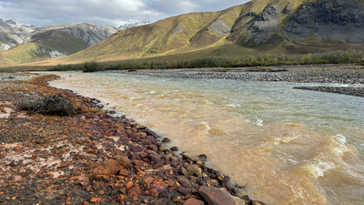 Scientists first noticed Alaska rivers turning orange in 2018; new research finds waters more acidic (Image Credit: Taylor Evinger/UC Davis) Scientists first noticed Alaska rivers turning orange in 2018; new research finds waters in pristine areas can be more acidic and metal-rich than drainage from metal mines