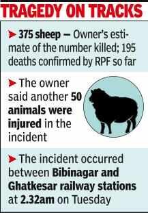 Shepherd’s family claims Rs 40 lakh loss