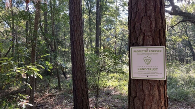 South Carolina will combine a 102-acre nature preserve with 50 affordable homes on Johns Island; hundreds of acres of green space are protected (Image Credit: Maddy Quon/Staff) South Carolina will combine a 102-acre nature preserve with 50 affordable homes on Johns Island; hundreds of acres of green space are protected