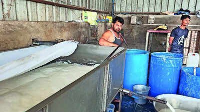 Synthetic paneer production continues in Gondola village despite a statewide ban. Analogue alarm: How synthetic paneer takes a Gondola ride to your plate