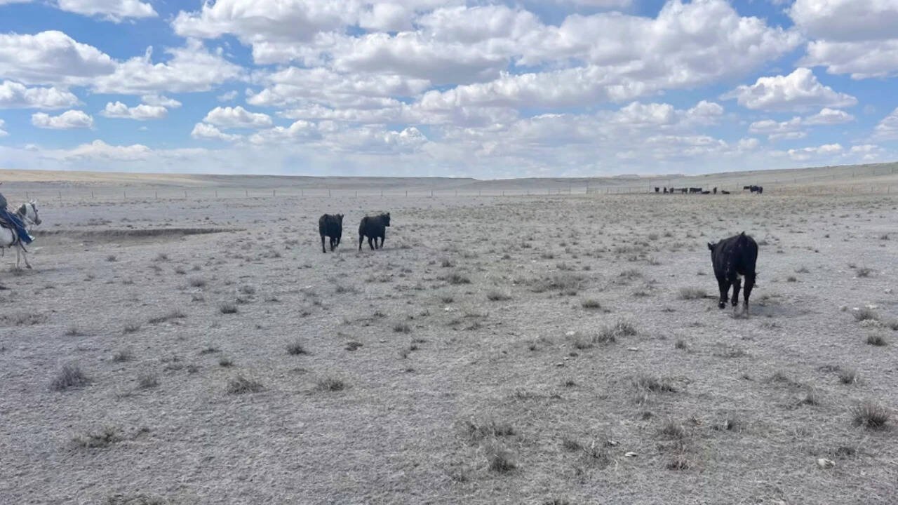 The part of the Salo ranch where wind turbines are planned