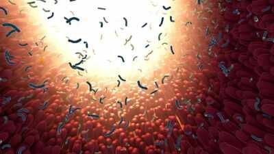 The study, published in Nature, could also change how scientists identify links between gut bacteria and disease. Scientists found hidden populations within common gut bacteria that can spread internationally within decades and are associated with ageing, colorectal cancer, IBD and type 2 diabetes