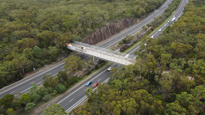 The upgraded bridge reconnects habitat between Heathcote National Park, Garrawarra State Conservation Area and Royal National Park (Image Credit: Greg Bigello/ ABC News) In 1974, an Australian ranger proposed turning a service bridge into a wildlife corridor; 52 years later, it opened over a motorway carrying 40,000 vehicles a day, reconnecting two national parks