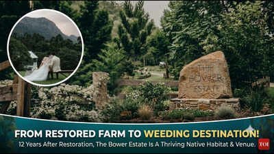 Pic credit: Facebook/ Bower Estate In 2014, an Australian family began restoring their 120-acre farm; 12 years later, Bower Estate is a thriving native habitat that hosts weddings