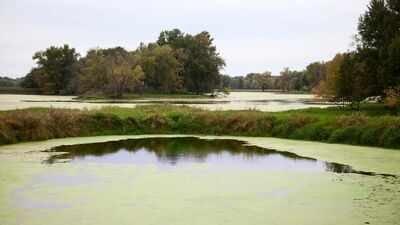 Upper Mississippi riverRepresentative image from Canva A Wisconsin farming family fought a 2016 tax change as nearly 2,000 floodplain acres became harder to farm; 10 years later, the land is being permanently protected