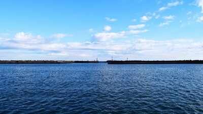 Scientists collected DNA from seawater at 316 sites across Japan and found 126 fish species farther north than previously recorded, revealing how warming seas may be reshaping where coastal wildlife can survive