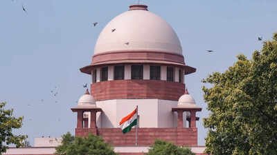 Centre cites Supreme Court order, seeks to void Jharkhand DGP appointment