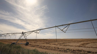 Idaho family has farmed 1,000 acres since 1950; after the state largely shut off its irrigation water in 2025, the owners say crops failed and are now suing to protect the family farm