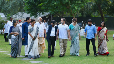 Members of INDIA bloc at high-tea hosted at Rahul Gandhi's residence in Delhi (File photo) SIR protests: Opposition has found common ground. But can it stay united?