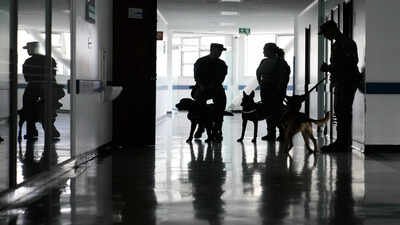 Representative image US military has a 'dog problem' that goes to Europe, Palmer Luckey has a plan to solve it: Genetically engineered clone dogs of …