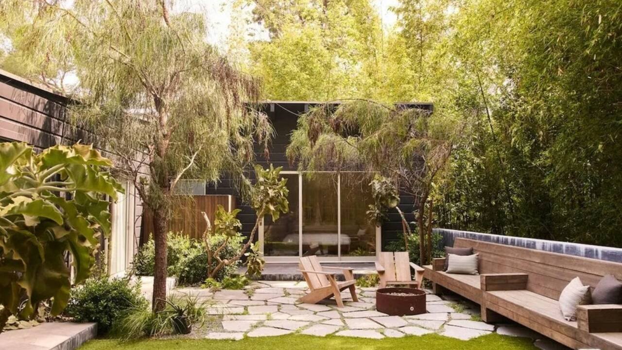 The backyard