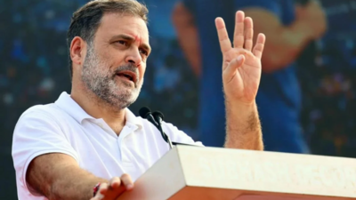 Leader of opposition in Lok Sabha Rahul Gandhi (File photo) 'We don't want a fight': Delhi traders' body writes to Rahul Gandhi again over November 1 rally