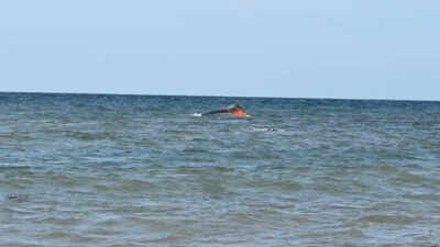 'Started to sink backwards': 139 migrants, including 15 children, killed as boat capsizes off Djibouti