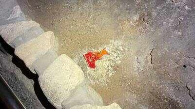 In 2023, a visitor dropped a Cheetos bag in Carlsbad Caverns’ Big Room in New Mexico; it triggered fungal growth, attracted insects and spiders, and disrupted the fragile ecosystem