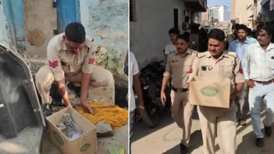 A stray dog in Brij Vihar Colony carried a human foetus through the streets Stray dog digs foetus buried in pit near drain, carries it through colony