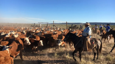 A Texas family spent nearly eight years fighting over the 65,000-acre Brite Ranch, worth at least $60 million; days before trial, the heirs agreed to divide the historic property into four pieces