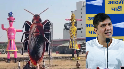'Religious sentiments hurt': AAP demands FIR over 30ft cockroach effigy burned alongside Ravan in Delhi