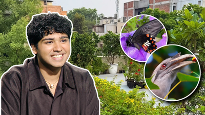 <b>“If you plant three types of plants…”: This Delhi terrace has more than 500 plants and attracts 100+ bird species and 25+ butterflies; how Aman Sharma turned a barren space into an ‘urban jungle’</b>
