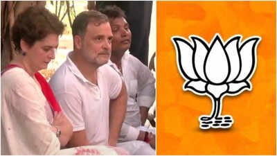 'Inappropriate': BJP turns heat on Rahul Gandhi over 'clash' with female Delhi cop during anti-CEC protest