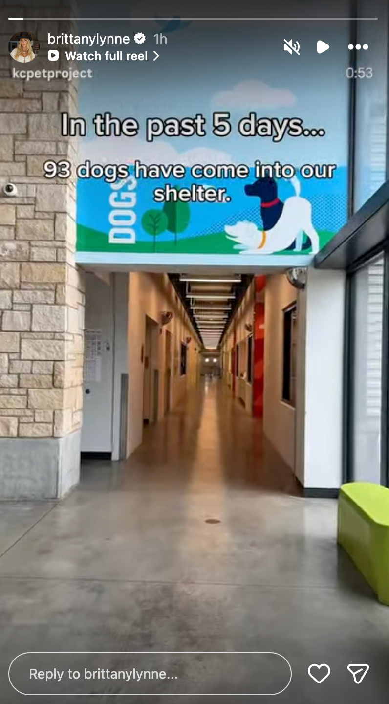 Brittany Mahomes continues her support for KC Pet Project’s dogs<br>