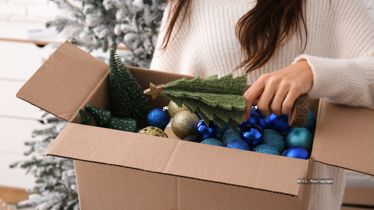 Cardboard box for organising