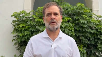 Congress leader Rahul Gandhi Rahul Gandhi launches 'Satyagraha' website for information on current protests across India