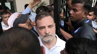 Congress MP and Lok Sabha LoP Rahul Gandhi at INDIA bloc protest in Delhi (ANI) 'Once a skunk, always a skunk': DMK questions Rahul Gandhi's stand on Tamil Nadu SIR deletions amid anti-CEC protest