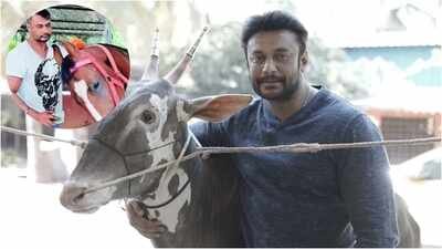 Darshan Thoogudeepa's farmhouse near Mysuru_ 'The Devil' star's connection with farm life; raises. Inside Darshan Thoogudeepa’s Mysuru farmhouse and farm life: ‘The Devil’ star raises HORSES and RARE CATTLE
