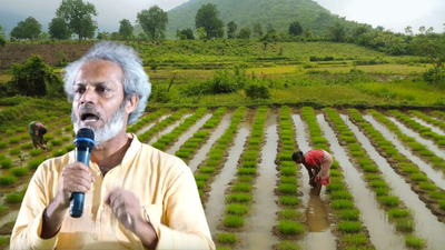 In 1997, this Odisha man left his job and built a seed bank that hands out traditional rice varieties to farmers; years later, Debal Deb's effort is rescuing India’s rice diversity