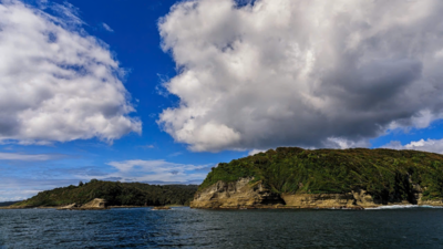 DiCaprio-linked group buys 52,000 acres on Chilean island; protected status still under negotiation (Image Credit: WWF Chile/ Evelyn Pfeiffer via Rewild) In 2025, Leonardo DiCaprio's conservation group helped buy more than 52,000 acres on a Chilean island to prevent mining and logging; a year later, its future as a protected area is being negotiated