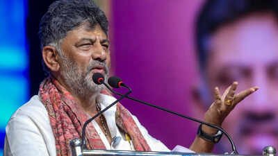 "If it is found that any private institution has deliberately sidelined Kannadigas, the government will take appropriate action," he said. DK Shivakumar's big warning to Bengaluru IT firms over sidelining Kannadiga candidates