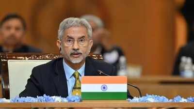 'Little bit more involved': Jaishankar says India has 'gone beyond advocacy' to end Russia-Ukraine war