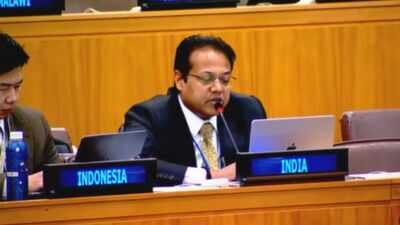 'Verify before she vilifies': India rejects UN rapporteur's claims on youth protests