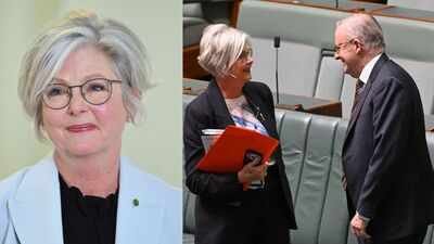 Australian MP critically injured in car strike outside offic Australian woman lawmaker critically injured in vehicle attack; driver arrested