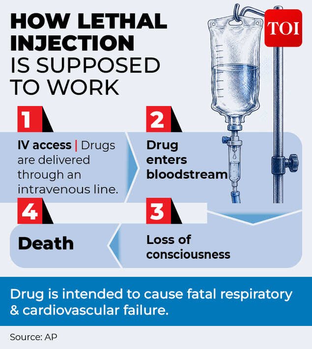 How exactly do lethal injections work?