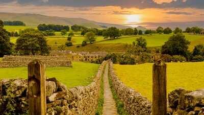 For 10 years, farmers across 13,500 hectares of southern England coordinated habitat work; one cluster recorded a 346% rise in corn buntings and a 183% rise in butterfly abundance over the decade